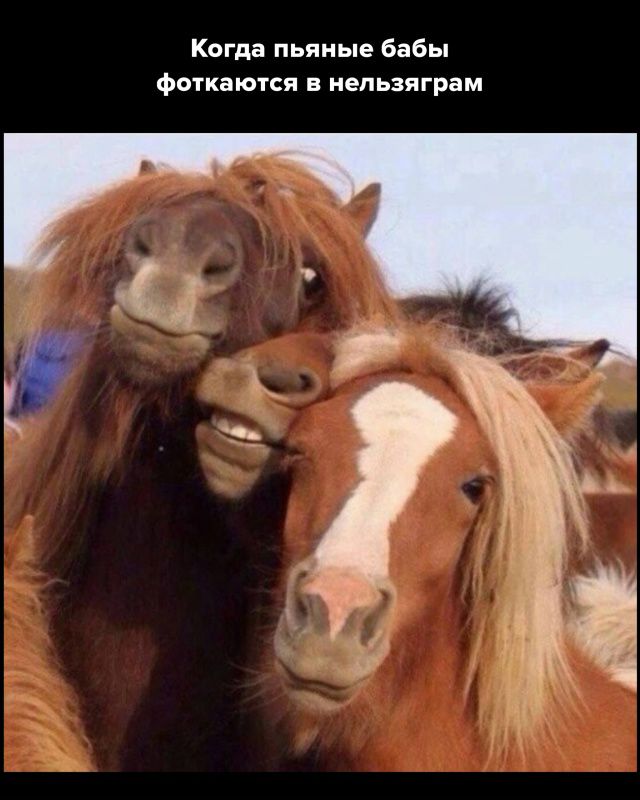 Когда пьяные бабы фоткаются в нэльзяграм