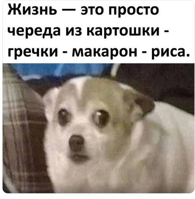 Жизнь — это просто череда из картошки - гречки - макарон - риса.