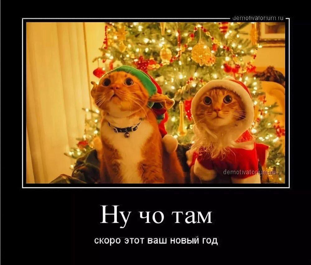 Ну чo там
скоро этот ваш новый год