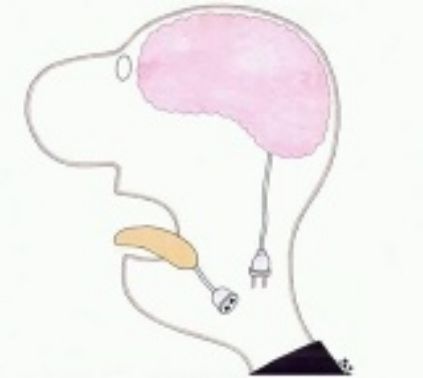 …і….…‚… ЧЙ А
