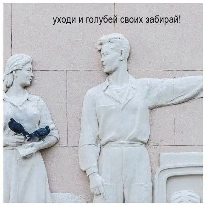 уходи и голубей своих забирай!