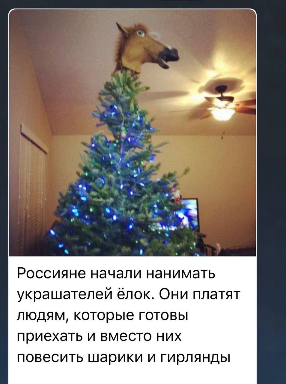 Россияне начали нанимать украшателей ёлок. Они платят людям, которые готовы приехать и вместо них повесить шарики и гирлянды