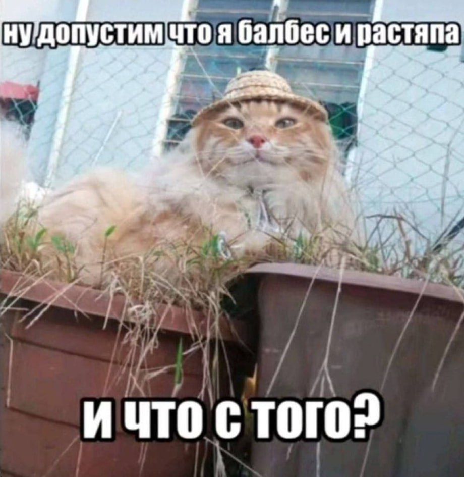 ну допустим что я балбес и растяла и что с того?