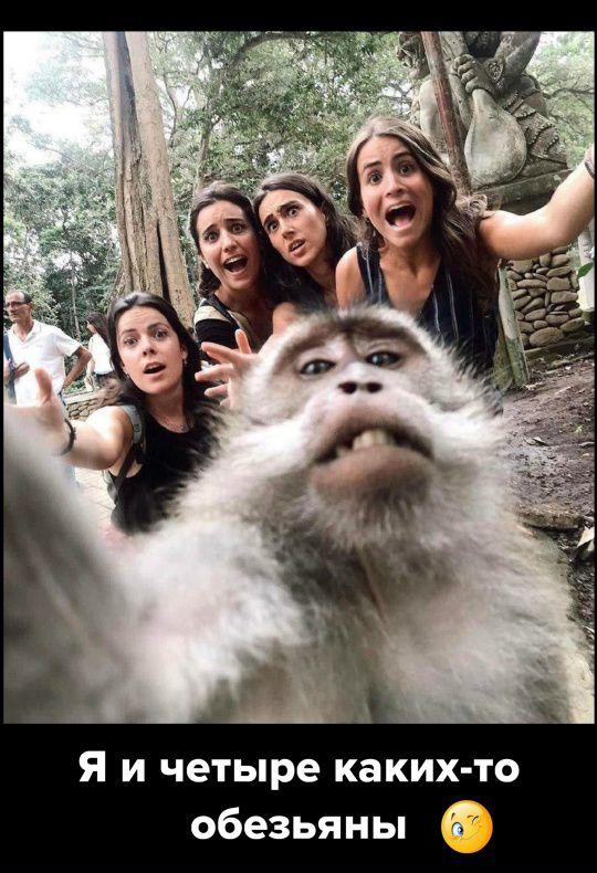 Я и четыре каких-то обезьяны 😉