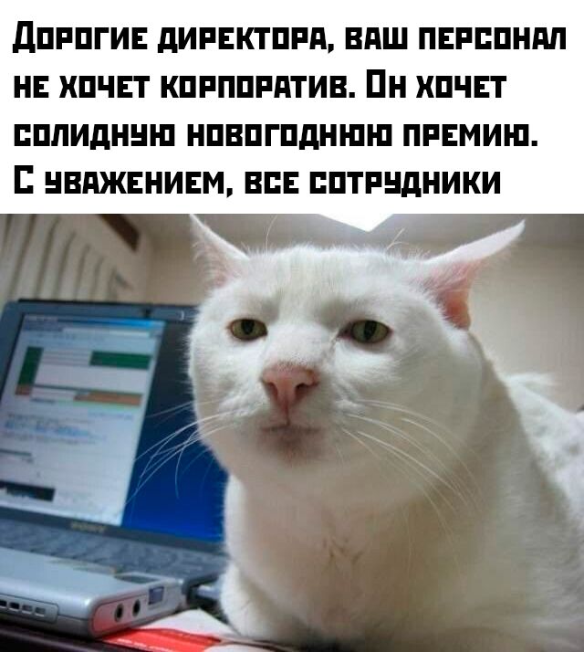 Дорогие директора, ваш персонал не хочет корпоратива. Он хочет солидную новогоднюю премию. С уважением, все сотрудники