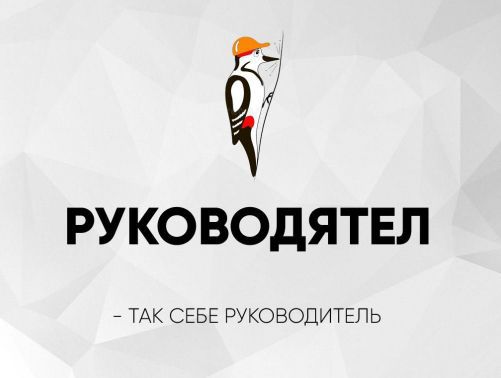 РУКОВОДИТЕЛЬ - ТАК СЕБЕ РУКОВОДИТЕЛЬ