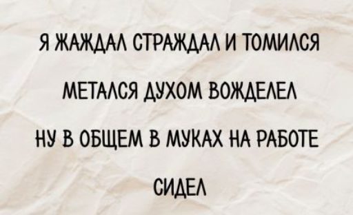 Я ЖАЖДАЛ СТРАЖАЛ И ТОМИЛСЯ
МЕТАЛСЯ ДУХОМ ВОЖДЕЛЕЛ
НУ В ОБЩЕМ В МУКАХ НА РАБОТЕ
СИДЕЛ