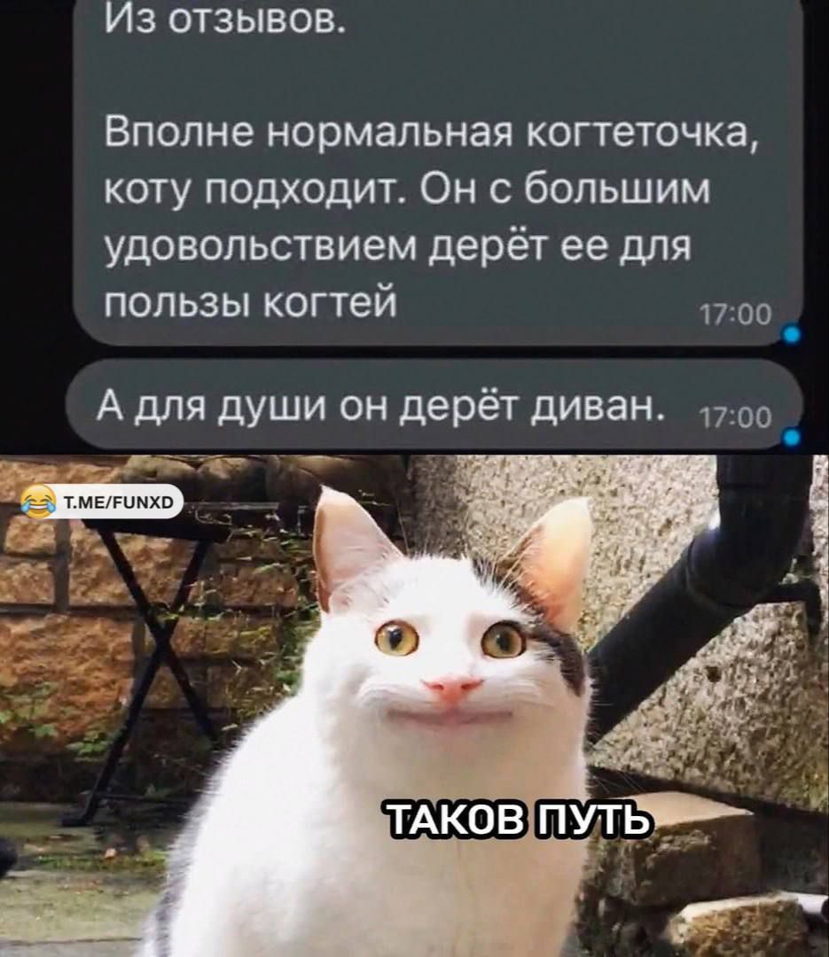 Из отзывов. Вполне нормальная коттеночка, коту подходит. Он с большим удовольствием дерёт ее для пользы котгей. А для души он дерёт диван.