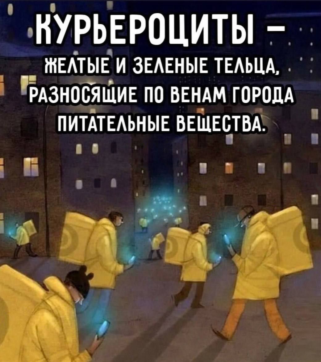 КУРЬЕРОЧИТЫ - ЖЕЛТЫЕ И ЗЕЛЕНЫЕ ТЕЛЬЦА, РАЗНОСЯЩИЕ ПО ВЕНАМ ГОРОДА ПИТАТЕЛЬНЫЕ ВЕЩЕСТВА.