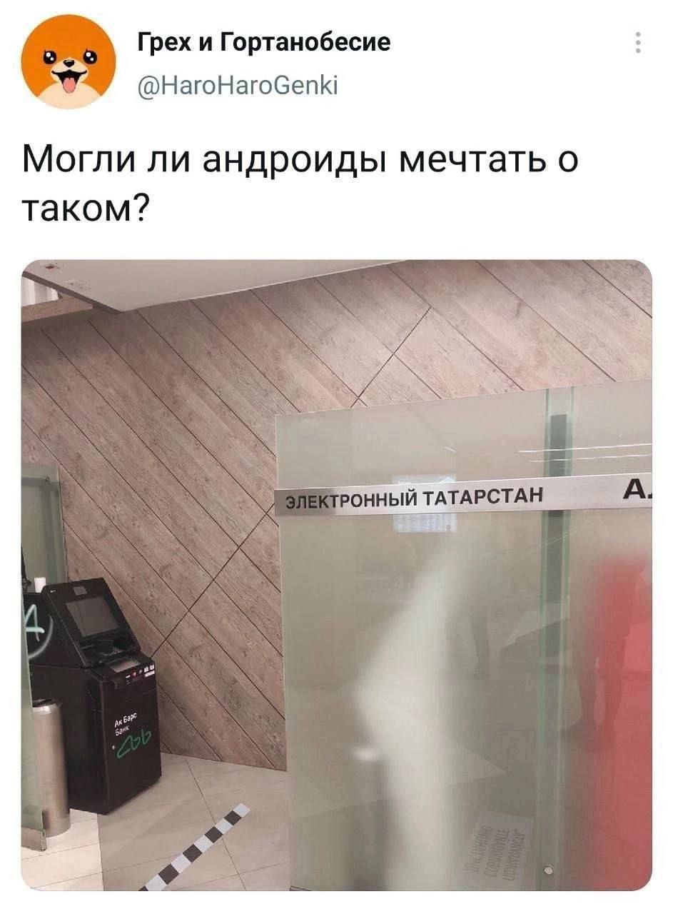 Могли ли андроиды мечтать о таком?

ЭЛЕКТРОННЫЙ ТАТАРСТАН