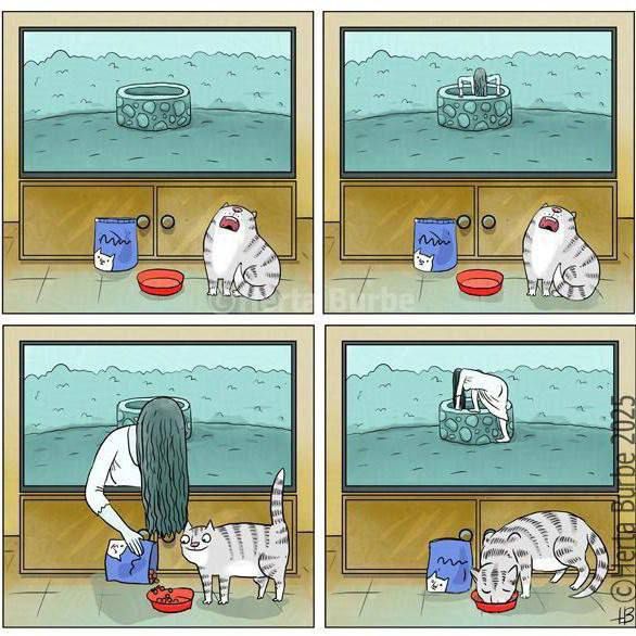 Комикс из четырех панелей: кот и человек ухаживают за котёнком, кормят и поят.