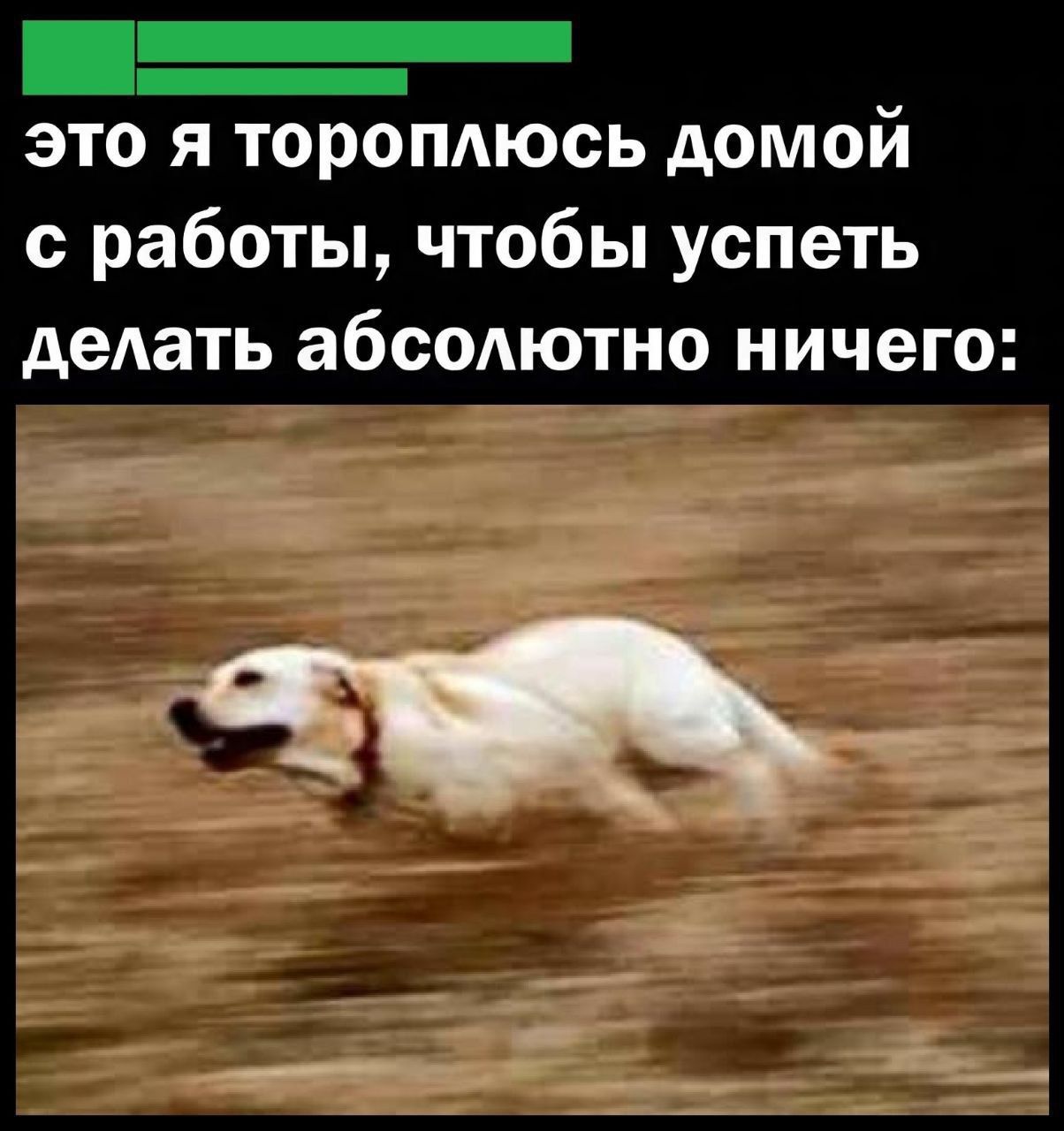 это я тороплюсь домой с работы, чтобы успеть делать absolutely ничего: