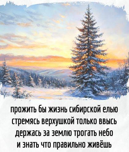 прожить бы жизнь сибирской елью стремясь верхушкой только вверх держась за землю трогать небо и знать что правильно живёшь