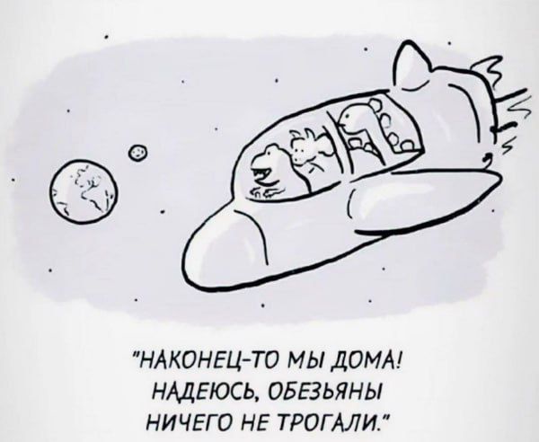 НАКОНЕЦ-ТО МЫ ДОМА! НАДЕЮСЬ, ОБЕЗЬЯНЫ НИЧЕГО НЕ ТРОГАЛИ.