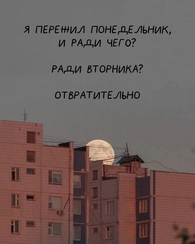 Я перенил понедельник, и ради чего? ради вторника? отвратительно