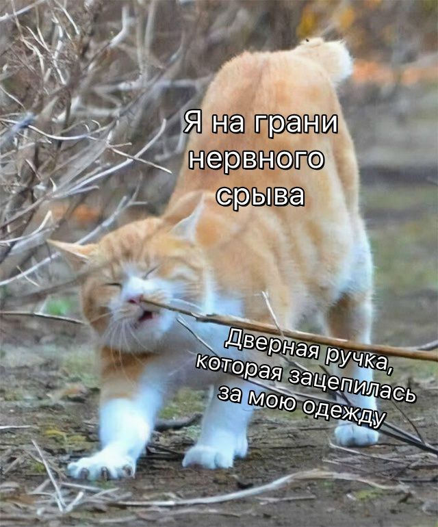 Я на грани нервного срыва\nДверная ручка, которая зацепилась за мою одежду