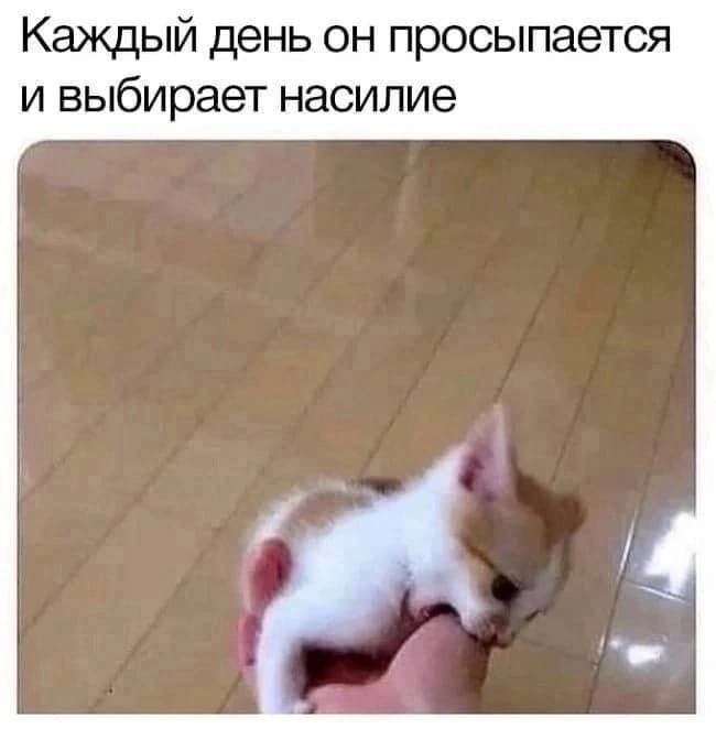 Каждый день он просыпается и выбирает насилие