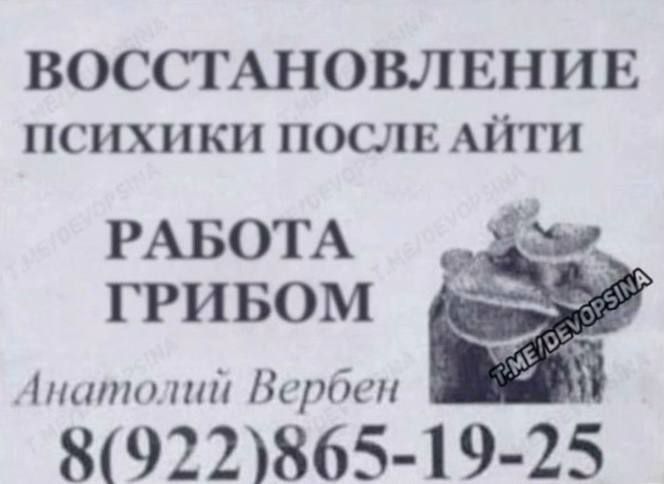 ВОССТАНОВЛЕНИЕ психики ПОСЛЕ АйТИ
РАБОТА ГРИБОМ
Анатолий Вербен
8(922)865-19-25