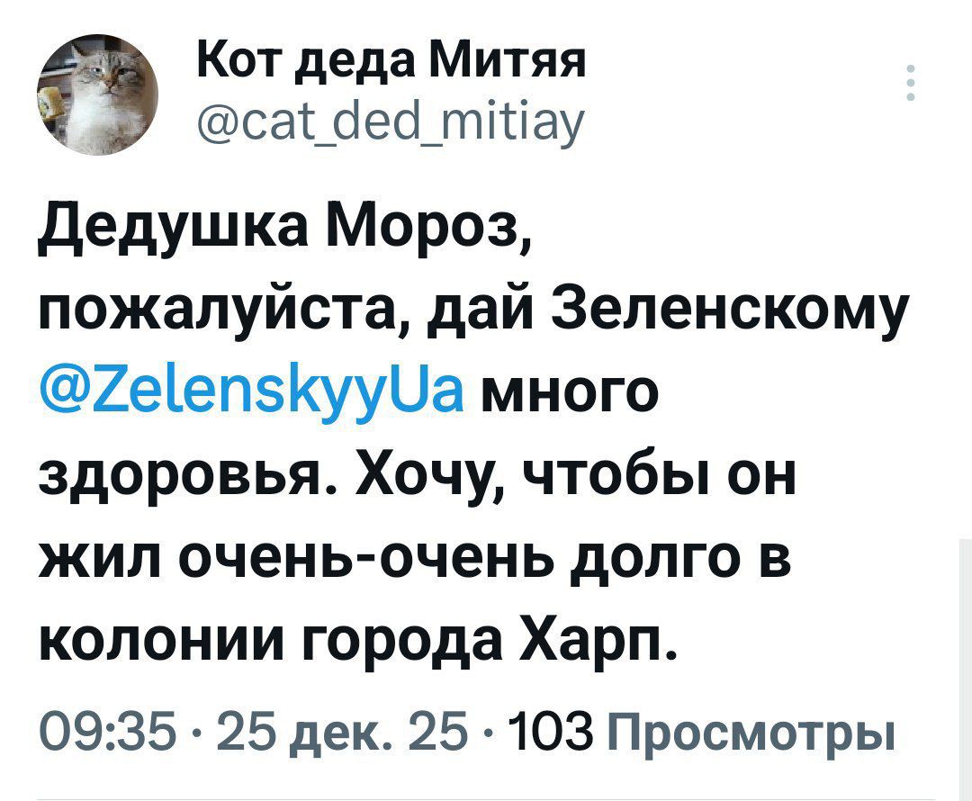 Дедушка Мороз, пожалуйста, дай Зеленскому много здоровья. Хочу, чтобы он жил очень-очень долго в колонии города Харп.
