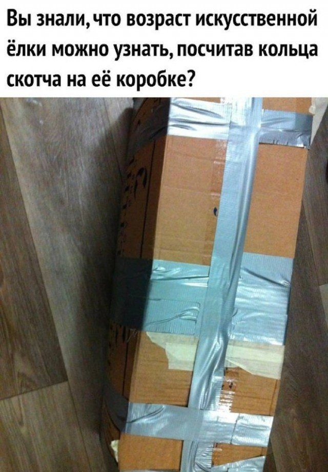 Вы знали, что возраст искусственной ёлки можно узнать, посчитав кольца скотча на её коробке?