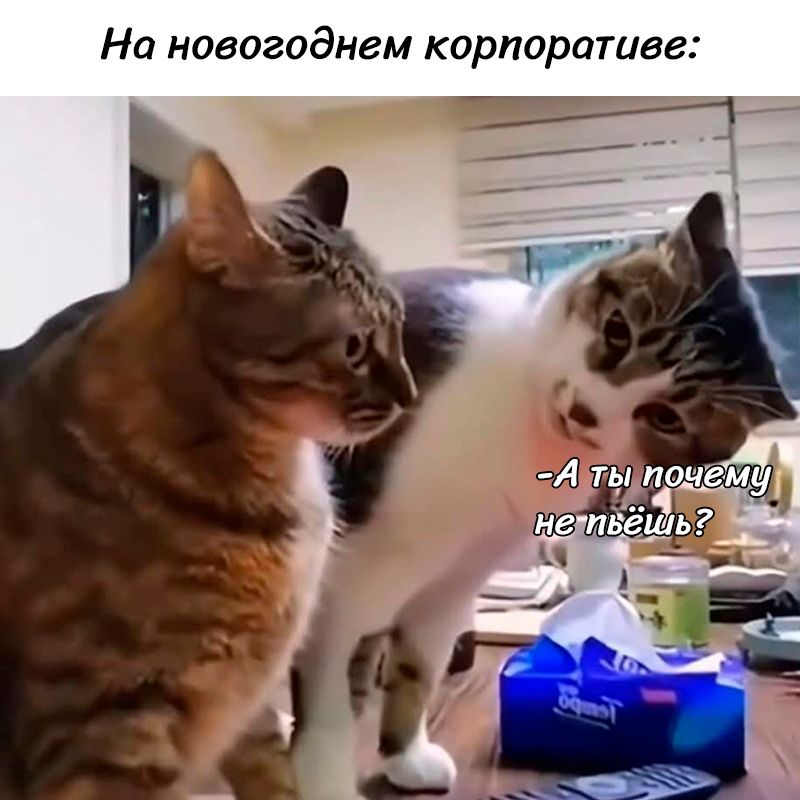 На новогоднем корпоративе:\n-А ты почему не пьёшь?