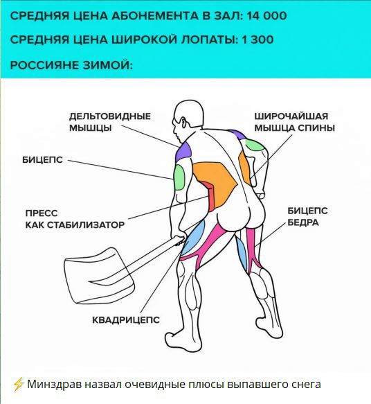 СРЕДНЯЯ ЦЕНА ABONЕМЕНТА В ЗАЛ: 14 000
СРЕДНЯЯ ЦЕНА ШИРОКОЙ ЛОПАТЫ: 1 300
РОССИЯНЕ ЗИМОЙ:

ДЕЛЬТОВИДНЫЕ МЫШЦЫ
БИЦЕПС
ПРЕСС КАК СТАБИЛИЗАТОР
КВАДРИЦЕПС
БОБЫЧЫ БЕДРА
ШИРОЧАЙШАЯ МЫШЦА СПИНЫ
