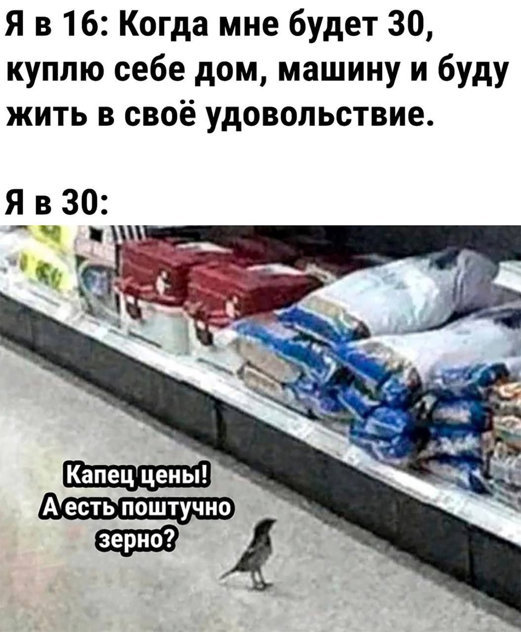 Я в 16: Когда мне будет 30, куплю себе дом, машину и буду жить в своё удовольствие. Я в 30: Капец цены! А есть поштучно зерно?