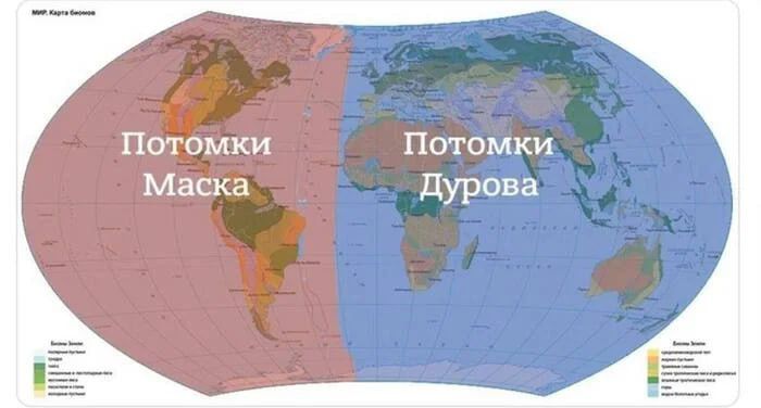 Потомки Маска
Потомки Дурова