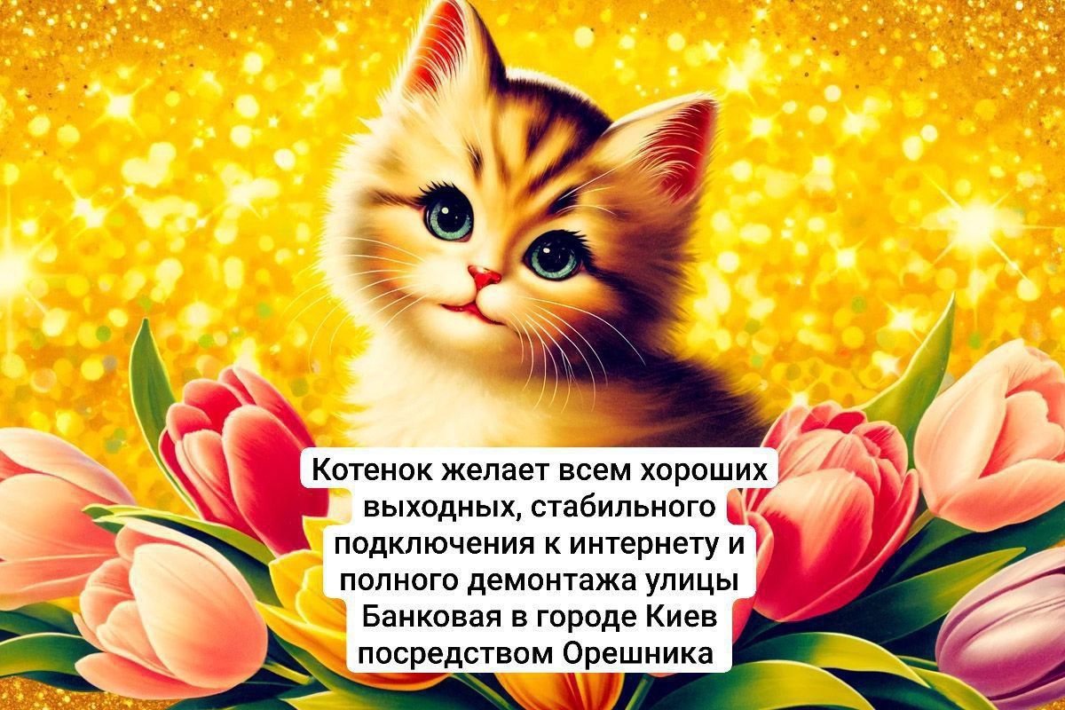 Котенок желает всем хороших выходных, стабильного подключения к интернету и полного демонтажа улицы Банковая в городе Киев посредством Орешника