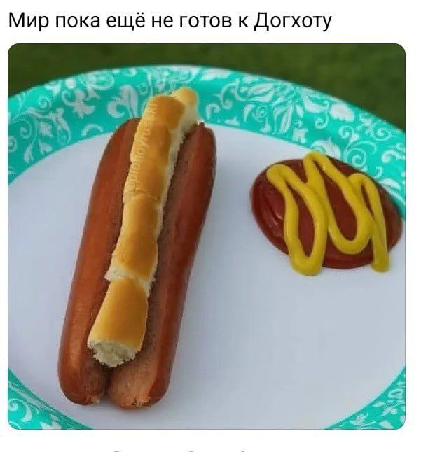 Мир пока ещё не готов к Доххоту