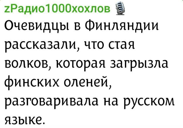 Очевидцы в Финляндии рассказали, что стая волков, которая загрызла финских оленей, разговаривала на русском языке.