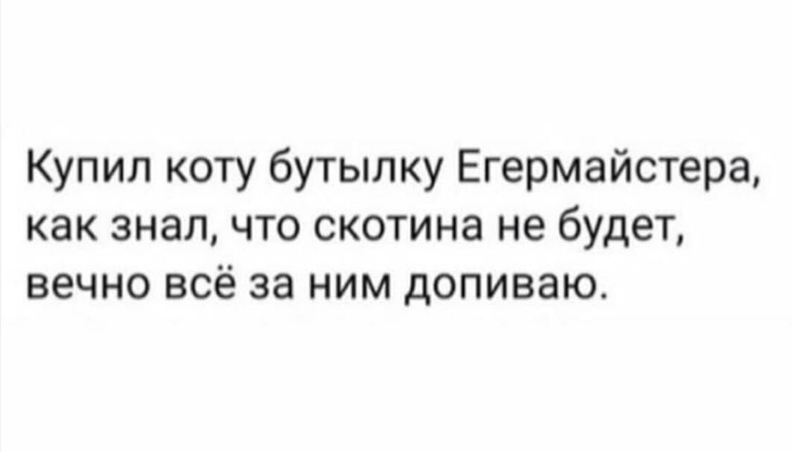 Купил коту бутылку Егермайстера, как знал, что скотина не будет, вечнo всё за ним допиваю.