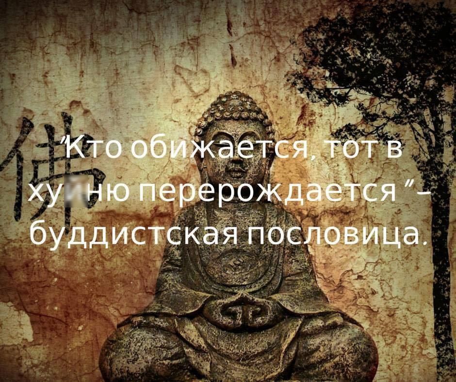 Кто обижается, тот в хуйню перерождается” - буддийская пословица.