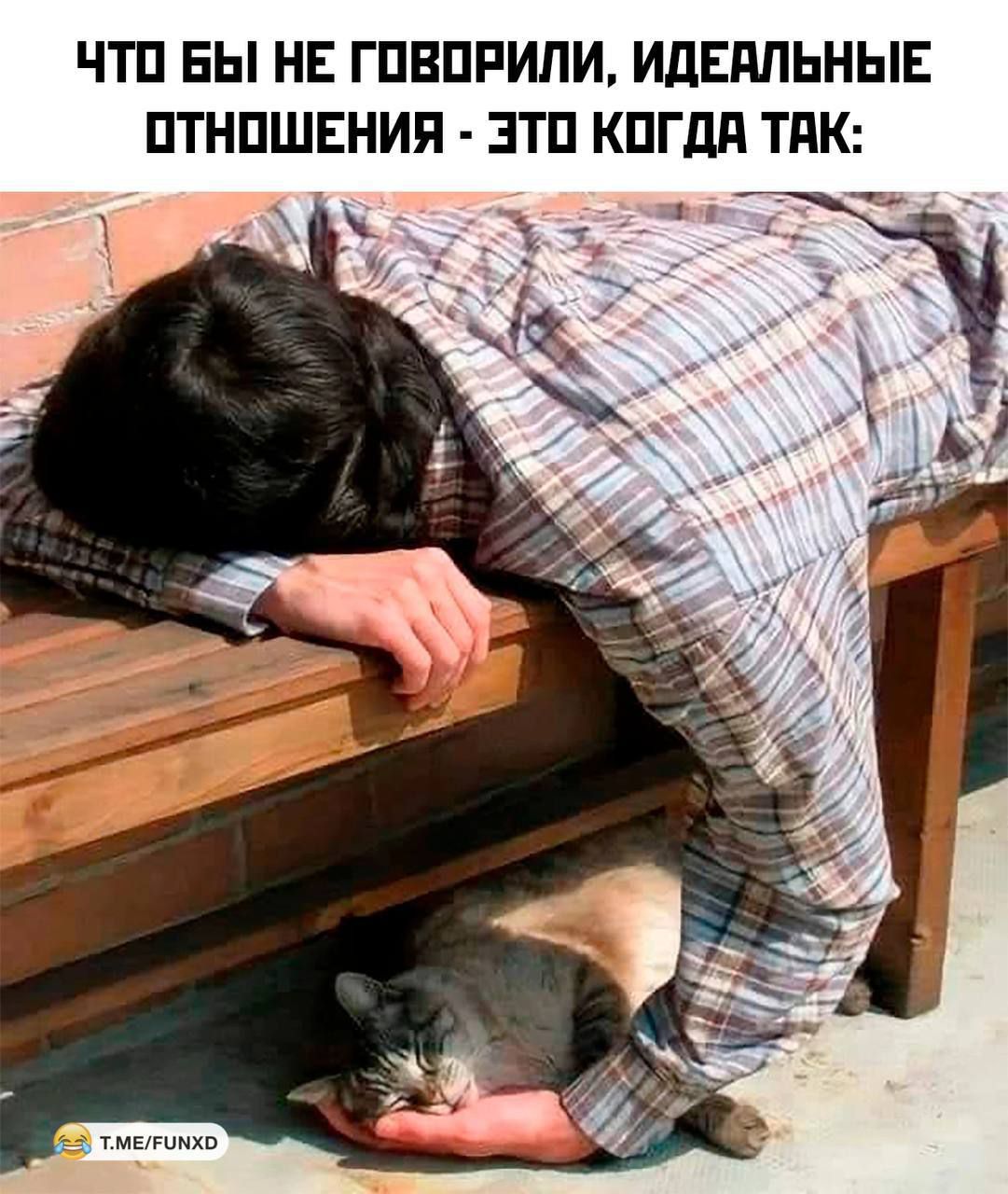 ЧТО БЫ НЕ ГОВОРИЛИ, ИДЕАЛЬНЫЕ ОТНОШЕНИИЯ - ЭТО КОГДА ТАК: