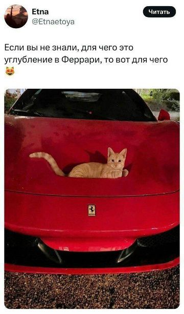 Если вы не знали, для чего это углубление в Феррари, то вот для чего 😺