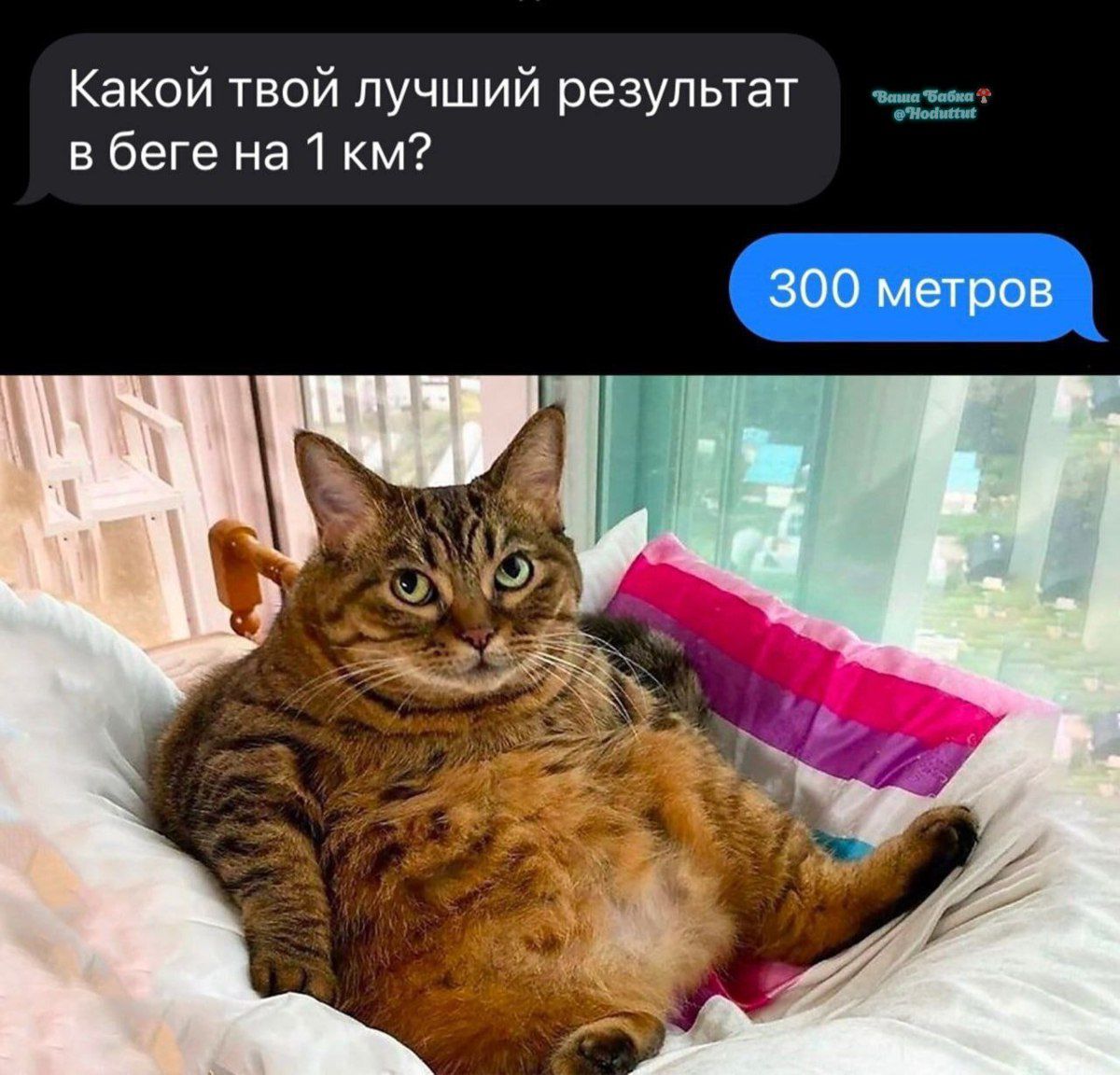 Какой твой лучший результат в беге на 1 км?\n300 метров