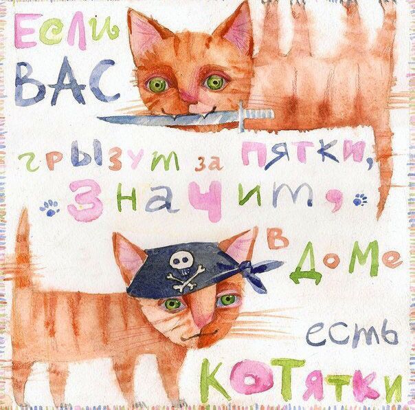 Если вас грызут за пятки, значит, в доме есть котята
