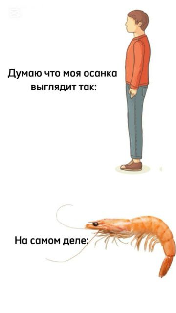 Думаю что моя осанка выглядит так:
На самом деле: