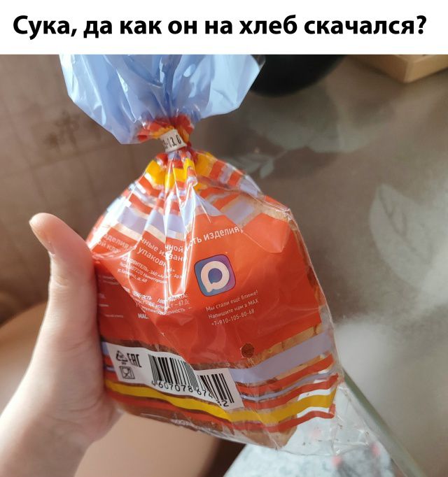 Сука, да как он на хлеб скачался?