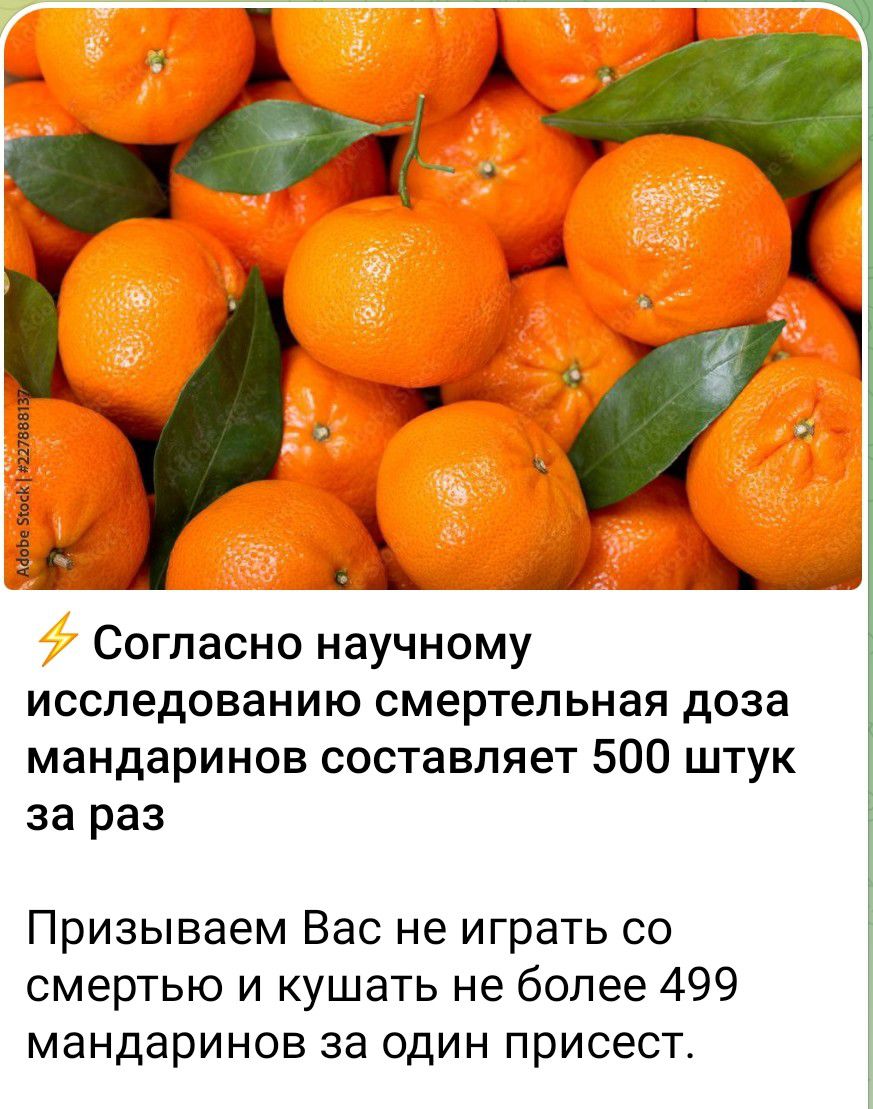 ⚡️ Согласно научному исследованию смертельная доза мандаринов составляет 500 штук за раз Призываем Вас не играть со смертью и кушать не более 499 мандаринов за один присест.