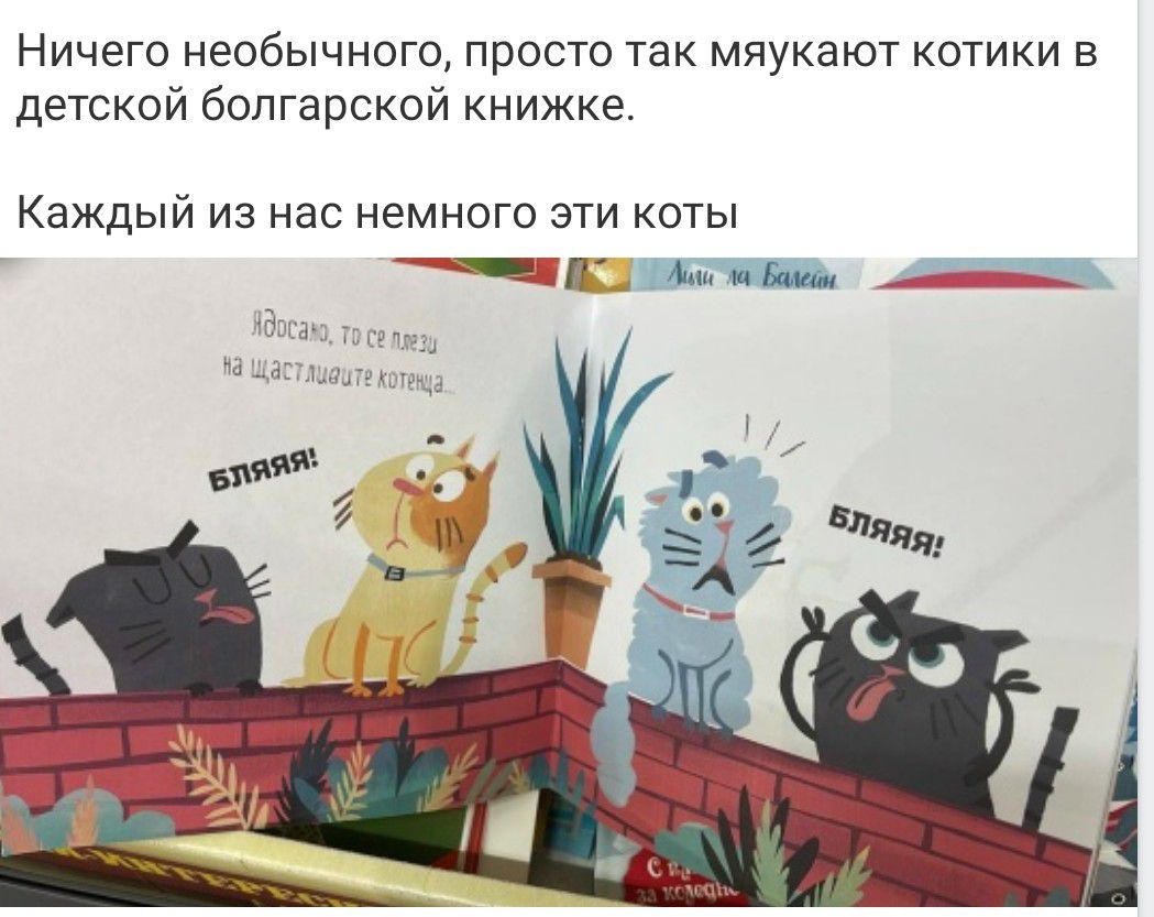 Ничего необычного, просто так маяют котики в детской болгaрской книжке. Каждый из нас немного эти коты