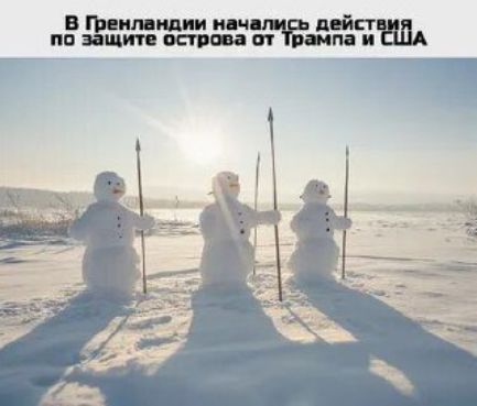 В Гренландии начались действия, по защите острова от Трампа и США