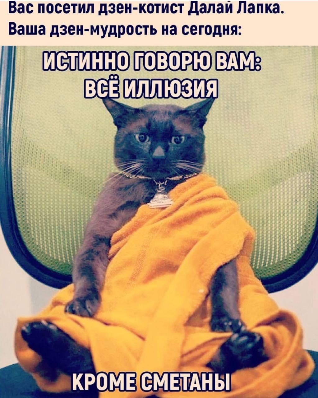 Вас посетил дзен-котист Далай Лапка. Ваша дзен-мудрость на сегодня: ИСТИННУЮ ГОВОРЮ ВАМ: ВСЁ ИЛЛЮЗИЯ, КРОМЕ СМЕТАНЫ