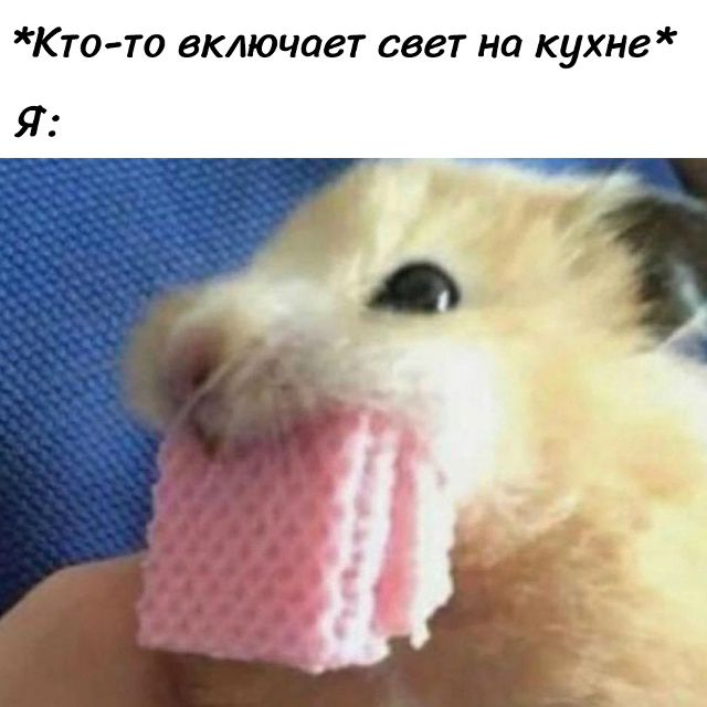 *Кто-то включает свет на кухне* Я: