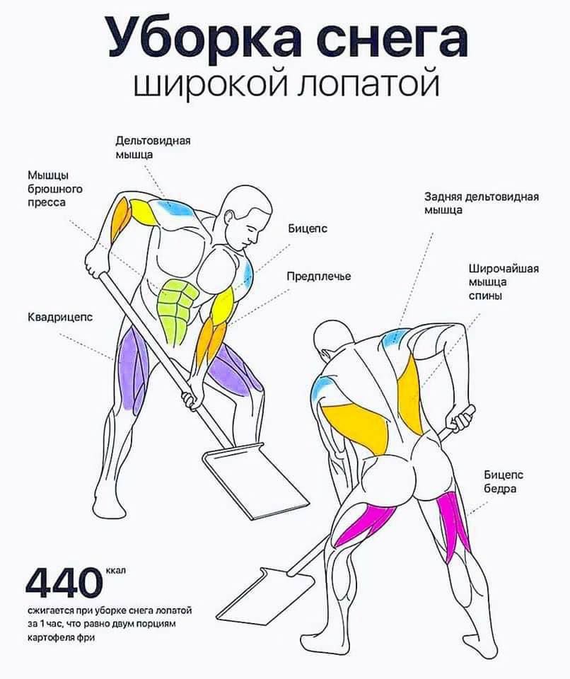 Уборка снега широкой лопатой. 440 ккал. сжигается при уборке снега лопатой за час, как две порции картофеля фри.