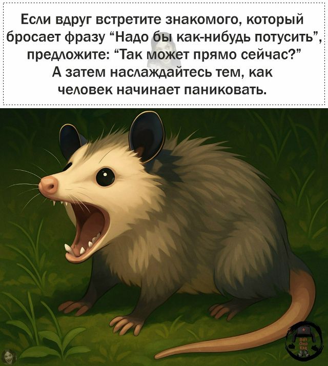 Если вдруг встретите знакомого, который бросает фразу “Надо бы как-нибудь потусить”, предложите: “Так может прямо сейчас?” А затем наслаждайтесь тем, как человек начинает паниковать.