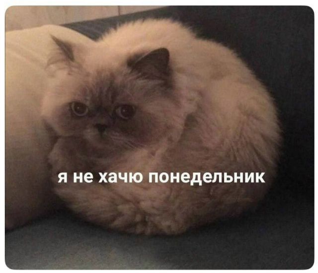 я не хочу понедельник