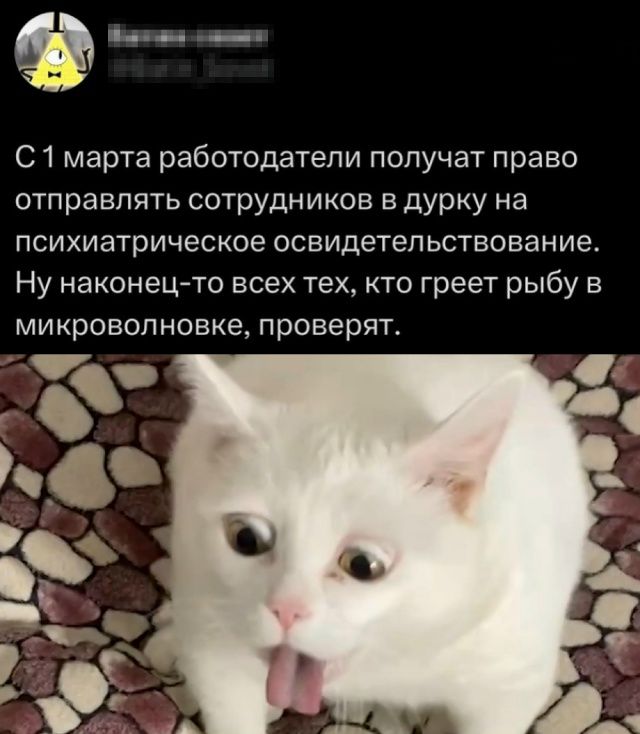 С 1 марта работодатели получат право отправлять сотрудников в дурку на психиатрическое освидетельствование. Ну наконец-то всех тех, кто греет рыбу в микроволнке, проверят.