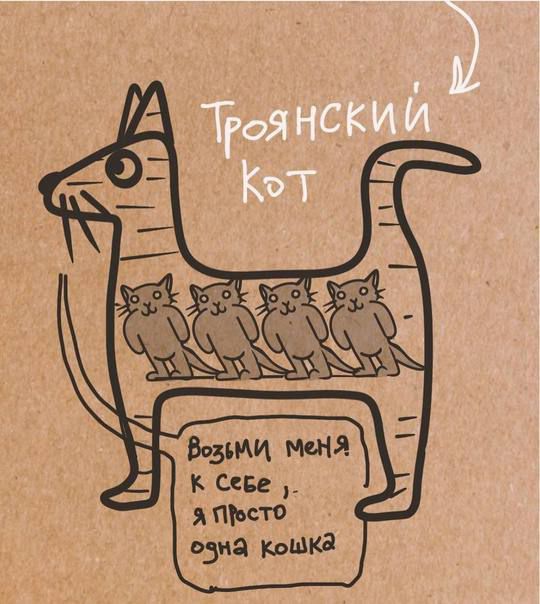 Троянский кот
Возьми меня к себе, я просто одна кошка