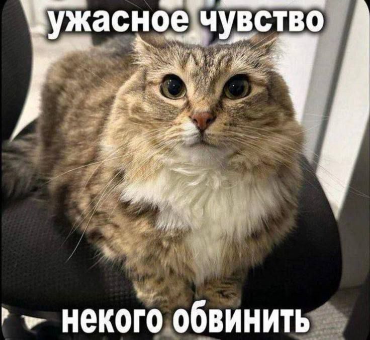 ужасное чувство никого обвинить